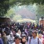 Libur Natal, Ragunan Mulai Dipadati Ribuan Pengunjung