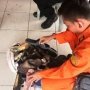 Begini Cara SAR Berjibaku Cari Korban Hilang KM Sinar Bangun