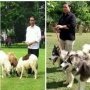 Fadli Zon Dibandingkan dengan Jokowi Bawa Anjing dan Kambing