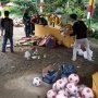 Unik! TPS Pilkada Kota Bogor Ini Tampilkan Konsep Piala Dunia