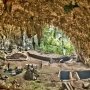 Manusia Purba Homo Floresiensis Belum Punah? Ini 6 Fakta Pendapat Para Ahli