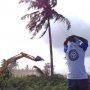 Lawan Penggusuran NYIA Kulonprogo, Warga Panjat Pohon Kelapa