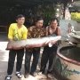 Dikira Buaya, Nelayan Temukan Ikan Arapaima  saat Memancing