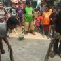 Rosid Kobra, Sang Penakluk Ular dari Bekasi