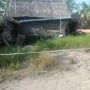 Tragis, Suami Istri Ditemukan Tewas di Gubuk Reyot