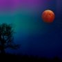 Gerhana Bulan Total Malam Ini Bisa Disaksikan Langsung dengan Mata Telanjang
