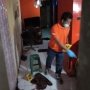Perawan Tua Ditemukan Tewas Bersimbah Darah di Rumahnya