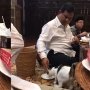 Suka Pelihara Kucing Seperti Prabowo, Manfaat Ini Bakal Anda Rasakan