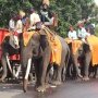 Kemudahan Teknologi, Kunci Optimalkan Pariwisata Lampung Lewat Event