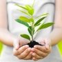 Berkebun dan Memelihara Tanaman Baik untuk Kesehatan Tubuh