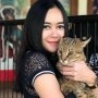 Seksi, Aura Kasih Lakukan Kiki Challenge dengan Becak