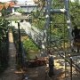 Jembatan Fair di Tual Ambruk, 4 Orang Terluka