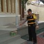 Tega! Bayi Dimasukkan ke Kardus Mie Lalu Dibuang di Depan Masjid