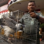 Gandeng KPK dan OJK, Kemenhut Janji Sikat Mafia Satwa Sampai ke Akar