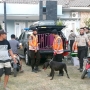 Polisi Kirim Anjing Pelacak untuk Cari Korban Tertimpa Reruntuhan