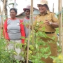 YBTS Gandeng Ewindo Bina 5.051 Petani Sayur di Papua