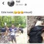 Viral! Pasutri Ini Bangga Bisa Tembak Burung Enggang Sulawesi