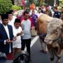 Anies: Jangan Buang Limbah Hewan Kurban Idul Adha Sembarangan