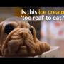 Unik, Kafe Ini Sajikan Es Krim Mirip Anak Anjing