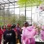 Sudah Buka Lagi, Intip Kembali Indahnya Orchid Forest Cikole di Bandung