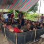 Puluhan Penjudi Sabung Ayam Syok Kedatangan Tamu Tak Diundang