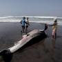 Heboh Aksi Serbu Pantai Parangtritis, Warganet: Nantangin Nyi Roro Kidul?