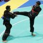 Kemenpora Optimis UNESCO Akui Pencak Silat Milik Indonesia
