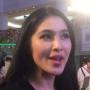 Dianggap Terlalu Hemat, Suami Paksa Sandra Dewi Lebih Rajin Belanja
