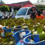 Bogor Diteror LPG 3 Kg Oplosan, Hampir 1.000 Tabung Gas Beredar