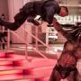 The Predator, Waktunya Manusia Siap Berburu Predator