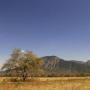 Jelajah Savana di Taman Nasional Baluran, Serasa di Afrika