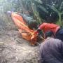Dilempar Orangtua, Bayi Ditemukan Tewas di Kolong Jembatan