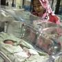 Bayi Kembar 3 Lahir dari Rahim Korban Gempa dan Tsunami Palu