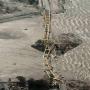 Tsunami Palu di Luar Perkiraan, Ini 3 Faktor Pemicunya