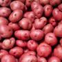 3 Sayuran Serba Merah yang Kaya Nutrisi