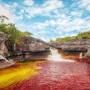 Sungai Lima Warna, Cano Cristales di Kolombia Bikin Takjub