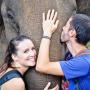 Niat Foto Bareng, Aksi Sang Gajah Justru Bikin Ngakak