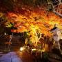 Ini Wisata Anti Mainstream di Jepang Saat Musim Gugur