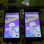 Axis Incar Pelanggan Milenial Melalui Hyphone