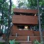 Arborea, Kafe Instagramable di Tengah Hutan Kota Jakarta