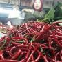 Gagal Panen, Harga Cabai di Solo Tembus Rp 70 Ribu Per Kilogram