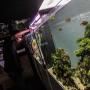 7 Cara Membuat Aquascape untuk Pemula