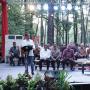 Jokowi Serahkan SK Perhutanan Sosial di Sumatera Selatan