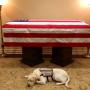 Mengharukan, Sully Setia Menjaga Peti Mati George Bush Senior
