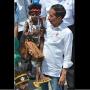 Jokowi Dinilai Layak Jadi Bapak Pembangunan Papua