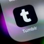 Menkominfo Isyaratkan Siap Buka Blokir Tumblr