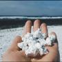 Popcorn Beach, Pantai Indah dengan Hamparan Popcorn