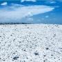 Keren Banget, Pantai Ini Dipenuhi Batu Koral Mirip Popcorn!