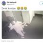 Demi Konten Foto, Dua Selebgram Nekat Lakukan Ini