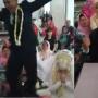 Heboh, Pengantin Pria Lakukan Hal Ini Setelah Dinyatakan Sah
